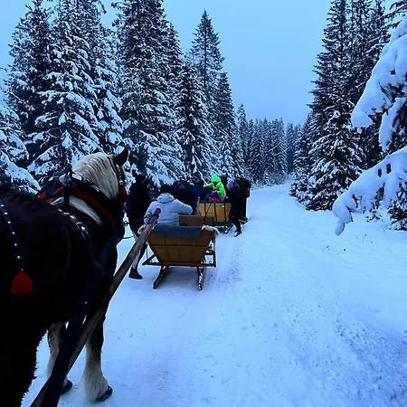 Alojamento de Turismo Rural Pod Modrzewiem - Babia Góra *