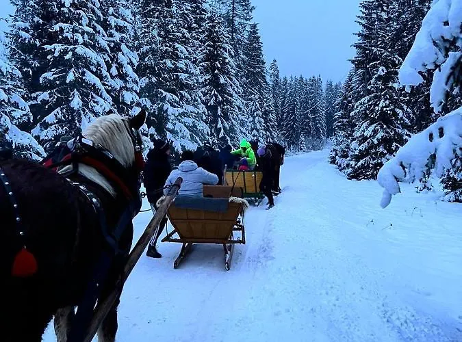 Lantgård Pod Modrzewiem - Babia Gora *