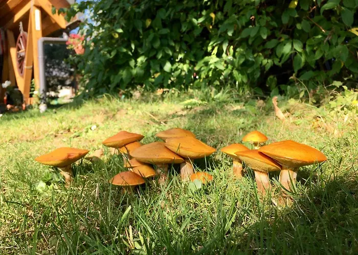 Lantgård Pod Modrzewiem - Babia Gora Zubrzyca Gorna