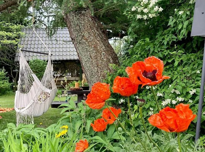 Pod Modrzewiem - Babia Gora * Zubrzyca Gorna