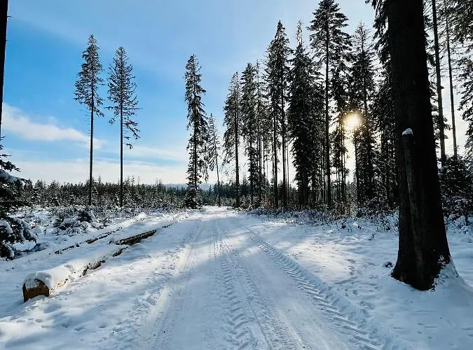 Pod Modrzewiem - Babia Gora Lantgård Zubrzyca Gorna